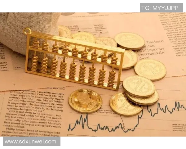 杭州排球队在钻石联赛中的节奏表现分析与未来展望