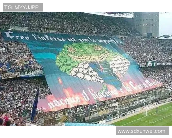 魔术师足球明星的传奇之路与场上精彩瞬间的完美结合