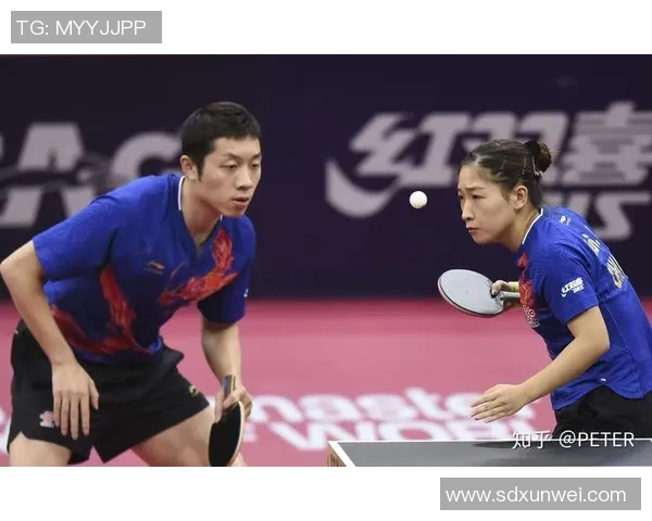 杭州乒乓球队比赛经验深度对比分析与启示探讨 杭州乒乓球队比赛经验深度对比分析与启示探讨
