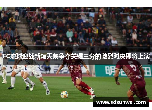 FC琉球迎战新泻天鹅争夺关键三分的激烈对决即将上演